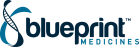 Blueprint Logo RGB full color