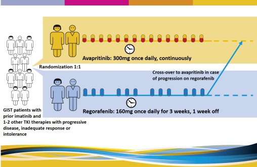 SPAEN Study Registry AvapritinibBLU Voyager