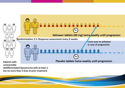 SPAEN Study Registry Selinxor SEAL DDLS