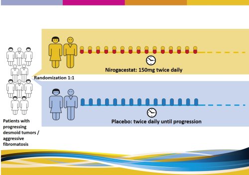 SPAEN Study Registry nirogacestat phase III