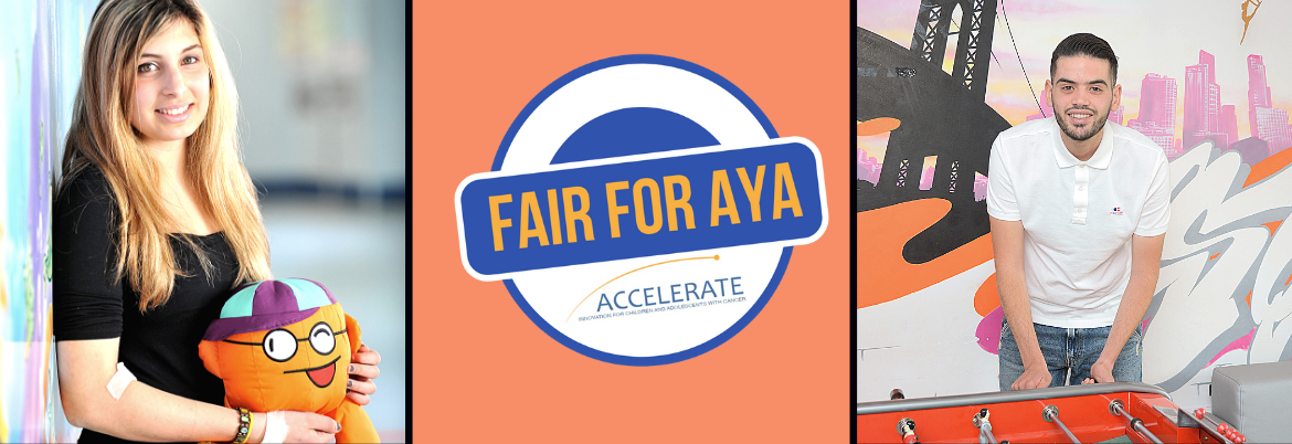 Copy of fair for AYa 3