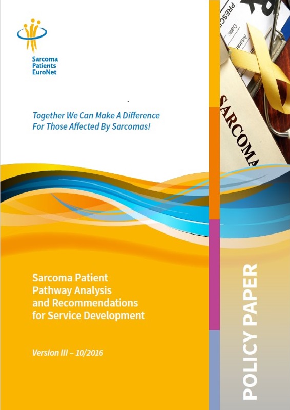 SPAEN17 Policy Paper Title
